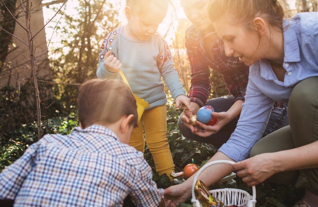 fresh eggs - image of our community - Daybreak Farms