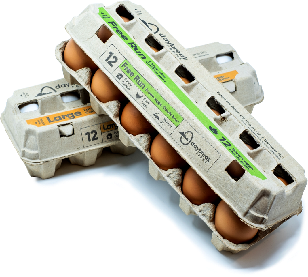 egg farm - Carton Stack - Daybreak Farms