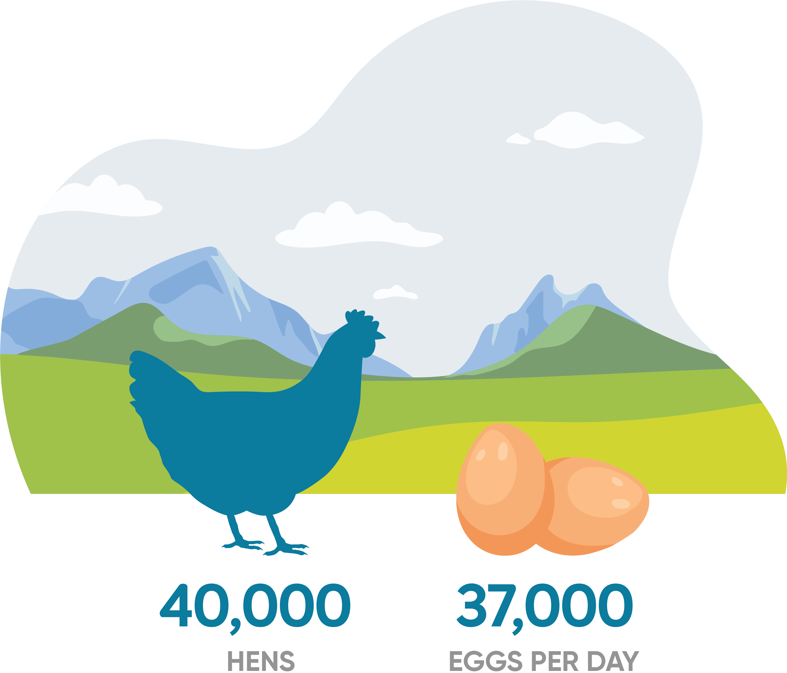  farming in british columbia - image of egg chicken stats - Daybreak Farms