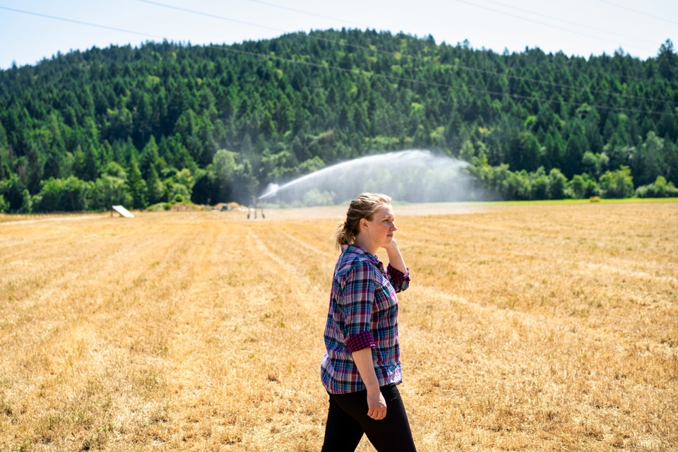  farming in british columbia - Daybreak Farms Story